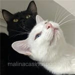 Avatar de Florencia Armenta